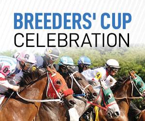 Breeder's Cup Celebration