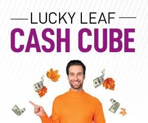 Lucky Leaf Cash Cube