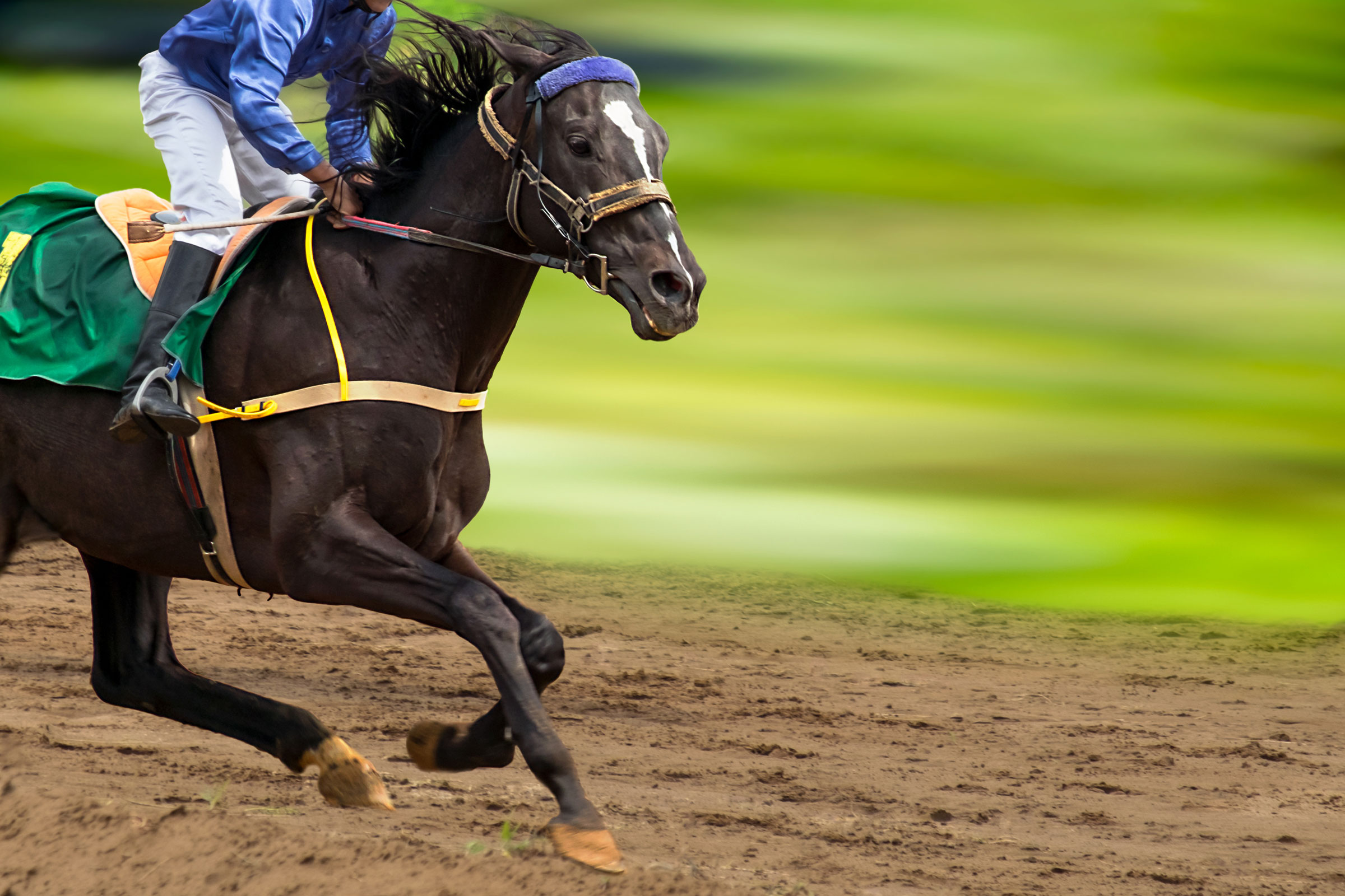 Jockey on horse