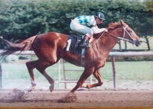 Horse known as Arctic Queen