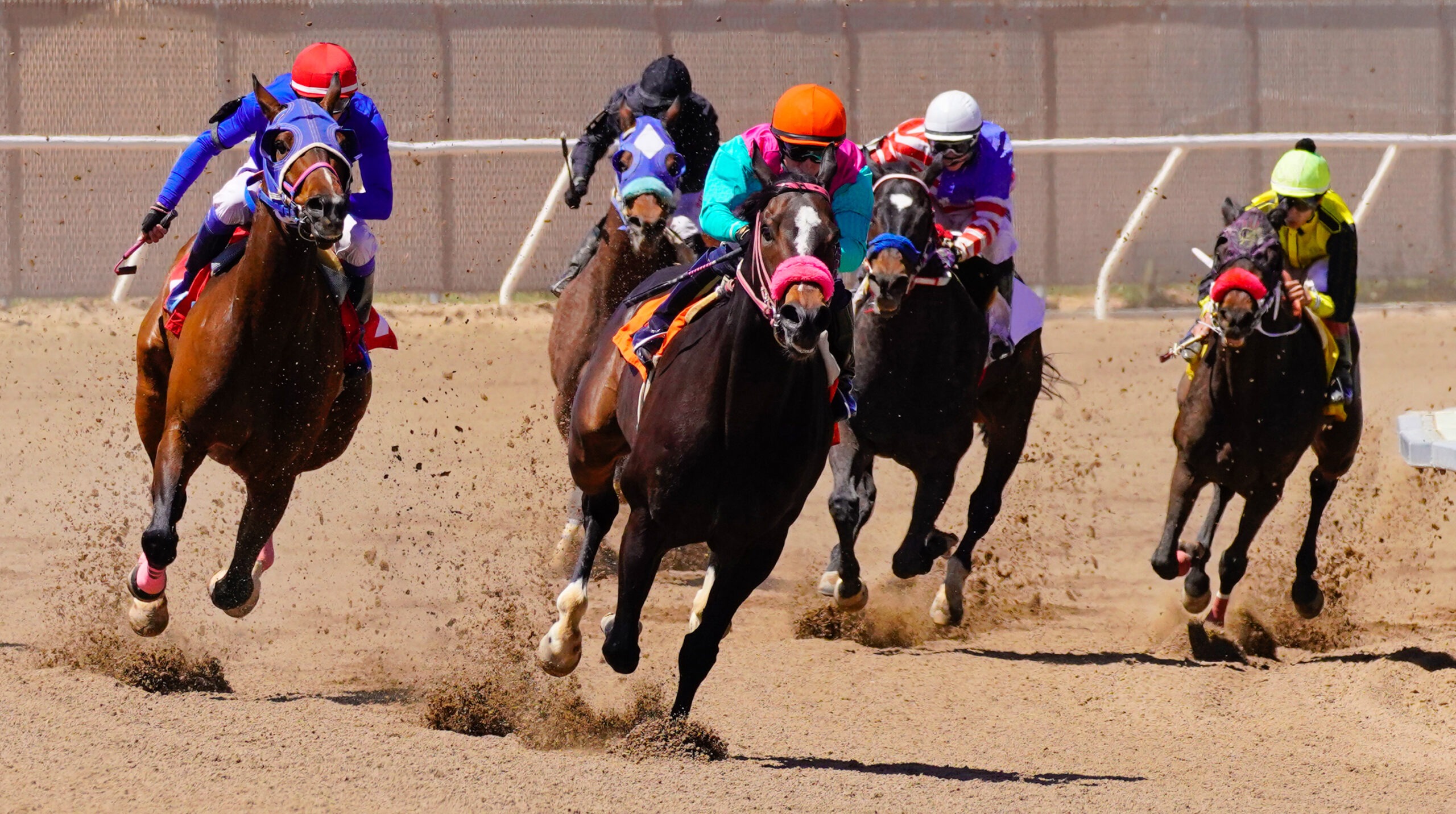 Horses racing