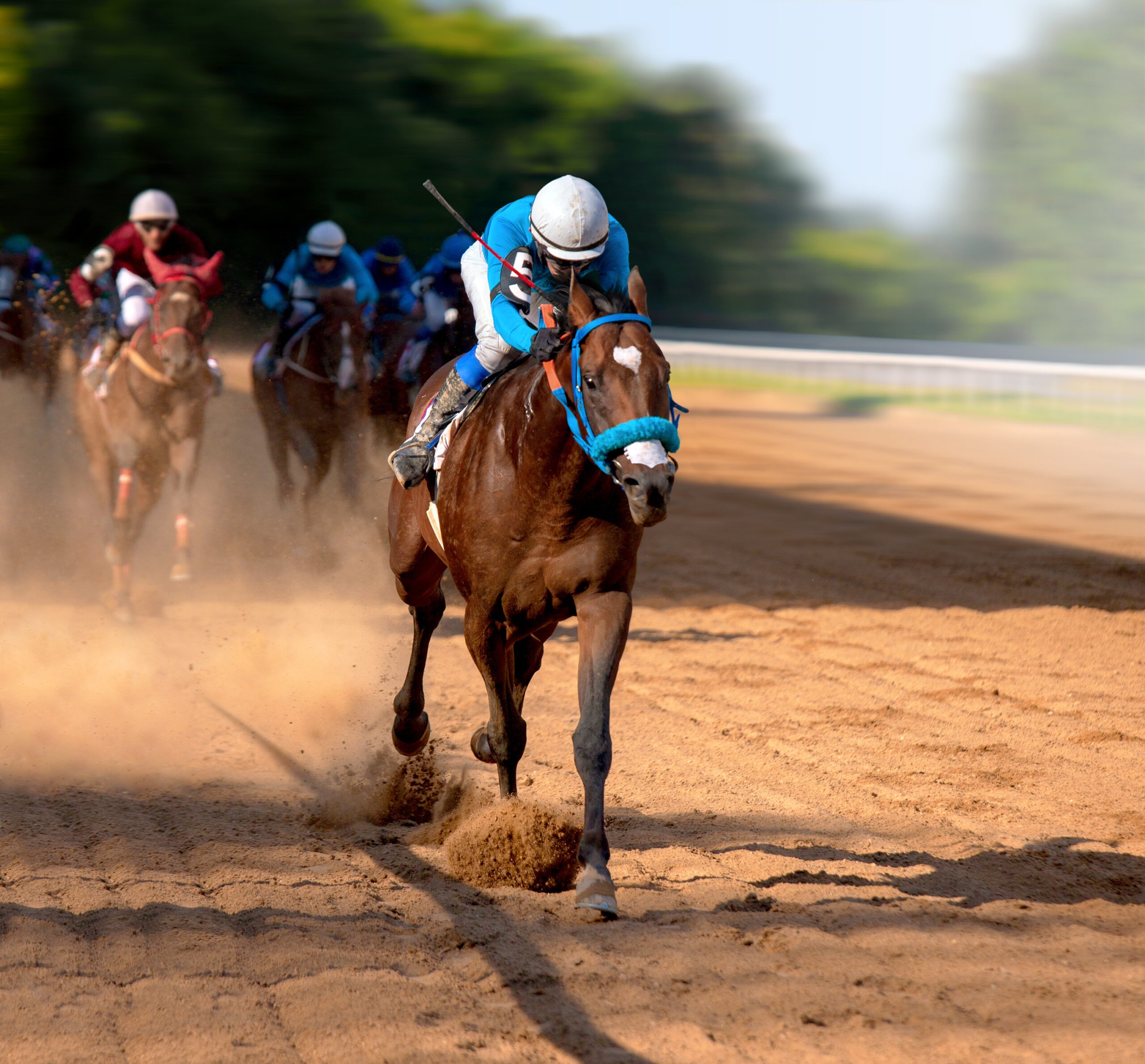 Galloping race horses in racing competition