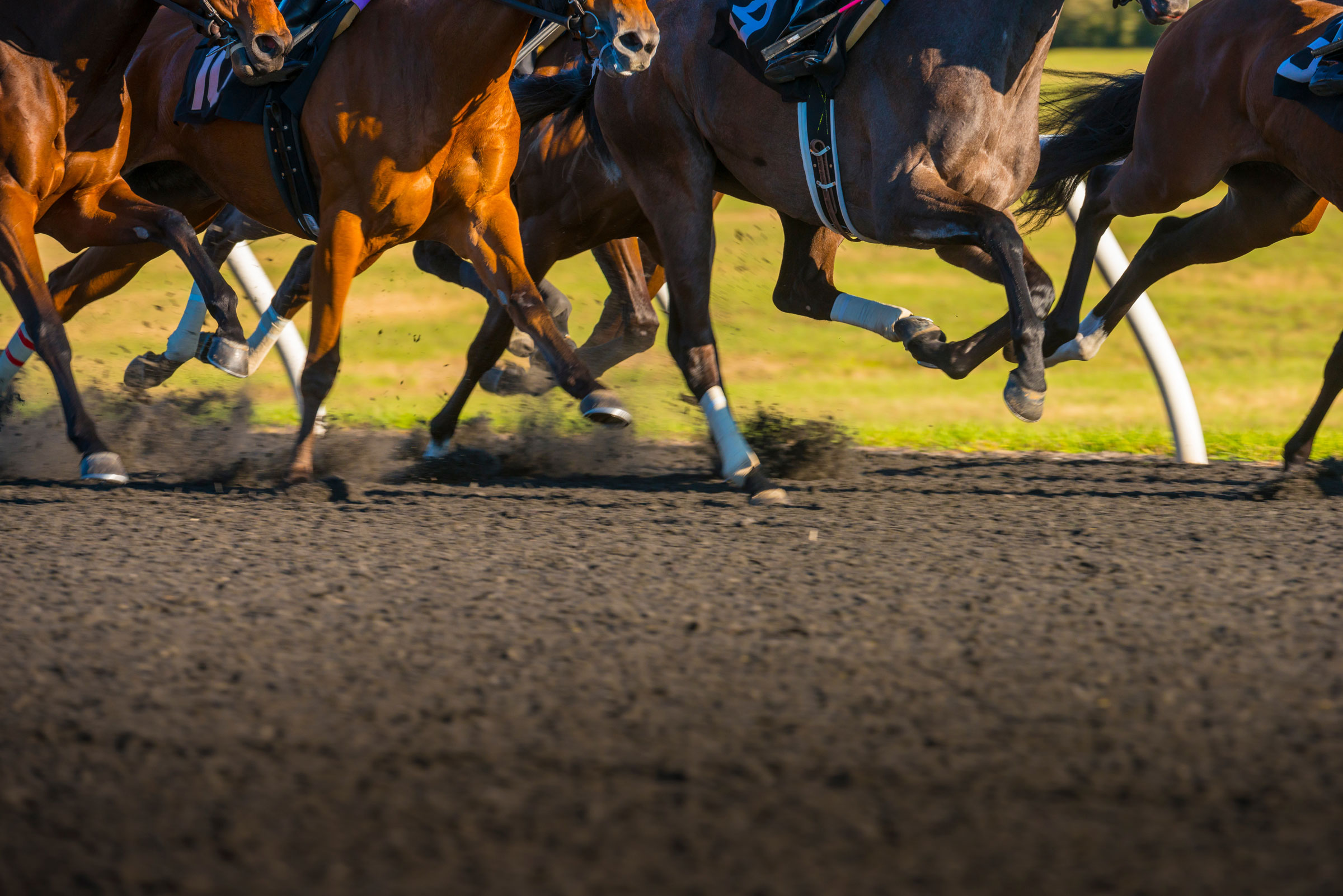 Close up of horses legs mid race