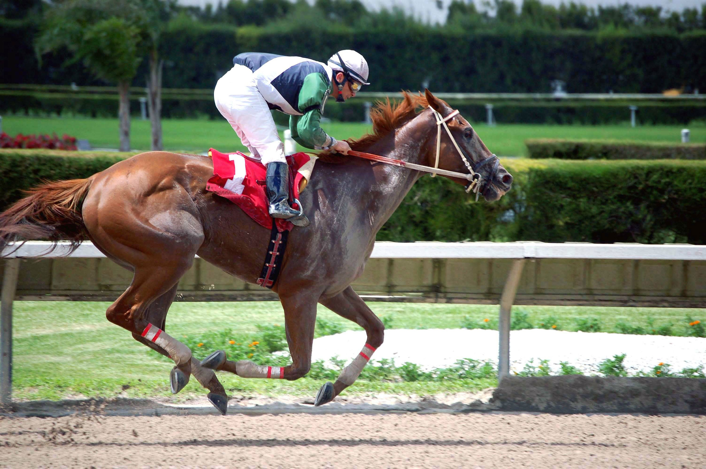 Jockey riding horse