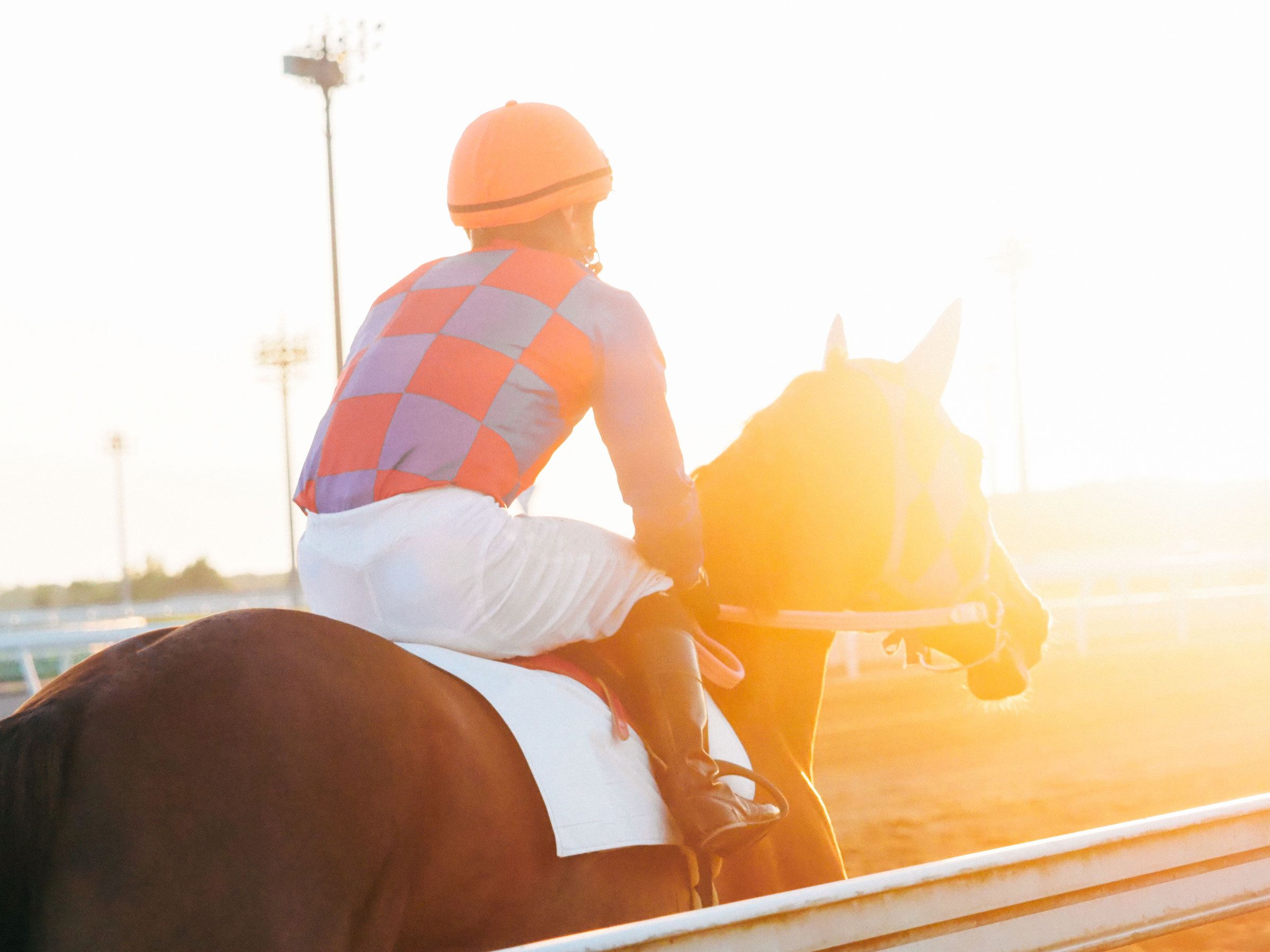 Jockey and horse